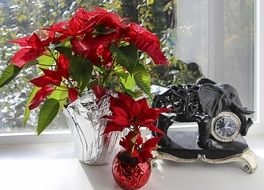 picture of the red poinsettia