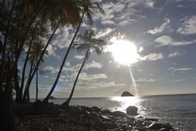 bright sun at dusk on the beach in Martinique