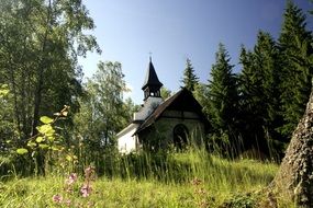 beautiful and delightful church forest