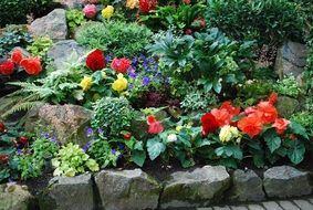 butchart garden victoria
