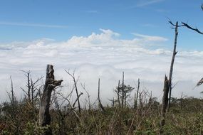 lawu nature in indonesia