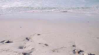 magnificent beach sea