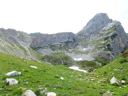 mountain alpine spring scenery