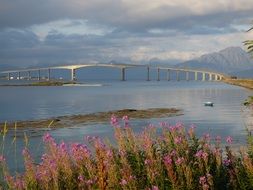 distant view of the big bridge in lofoten in norway