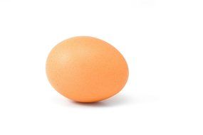 egg on the white ground