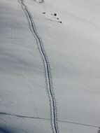 deep tracks on snow