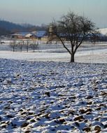 winter landscape on a farm in January