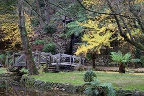 pond in a park in Australia