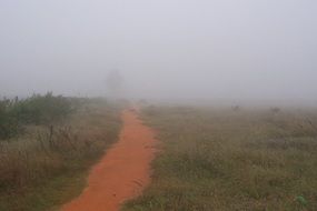 fog over the road in the morning