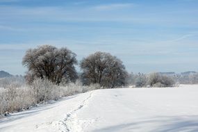 winter snow magic landscape