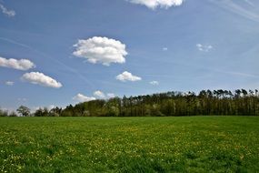 idyll spring landscape, blooming meadow in font of forest on hill, germany, baden württemberg