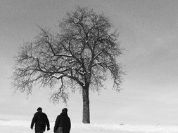 two people in a winter landscape