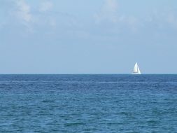 white sailboat in the calm sea