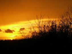 stunning sunset afterglow in the evening sky