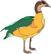 painted yellow green duck