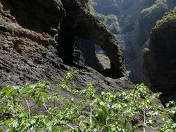 beautiful masca ravine