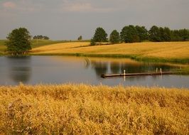 countryside landscape with pier on pond and yellow grass at water, poland