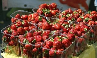 strawberries in containers at the fair