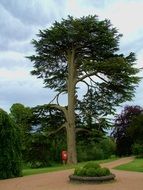 red shield with information at the tree