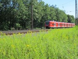 Red train on railway tracks among beautiful and colorful nature in Schwetzinger, Germany