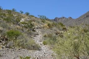 stone desert landscape