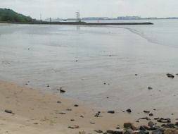 bank of the river in Hamburg