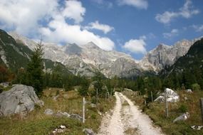 Road to the alpine mountains