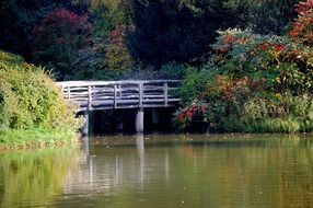 wooden bridge on a lake in autumn forest at brÃ¼ck