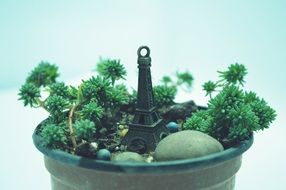 still life potted plants decoration
