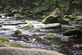 A lot of the green stones in the river