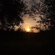 Landscape with the orange sunset in evening