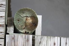 wooden piles in water