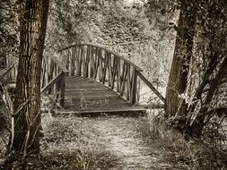 wooden bridge among the trees as an illustration