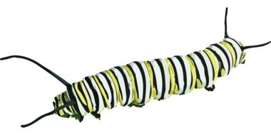 Danaus Plexippus caterpillar as a clipart