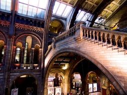 famous natural history museum in London