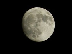 gray moon on black