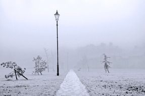 Street lamp near the path in the winter