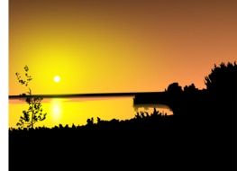 silhouettes of plants by the lake on a background of yellow sunset