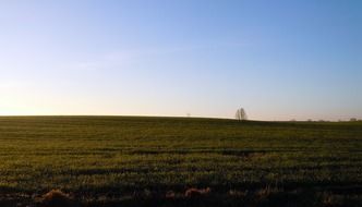 panorama of a wide rural field against a blue sky