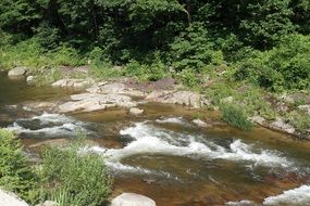 landscape of small river in a valley