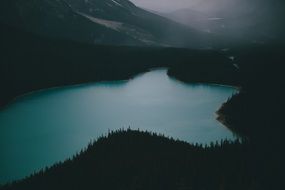 panorama of a dark lake in a dense forest