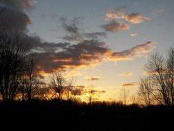 evening sky at sunset over the trees