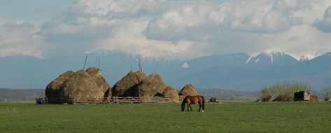 mountains transylvania