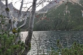 pond view in tatry mountains