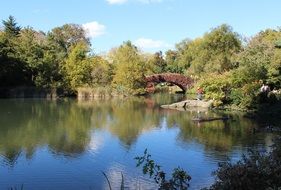 Central Park with a bridge in New York