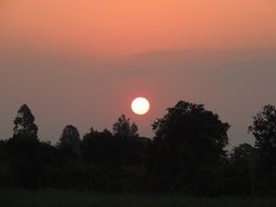 sunset horizon with trees landscape