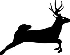 Silhouette of a deer clipart