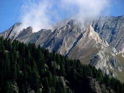beautiful landscape of mountains and forests, virgental valley, austria