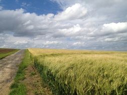 grass heaven