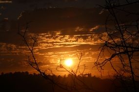 nature orange sunset